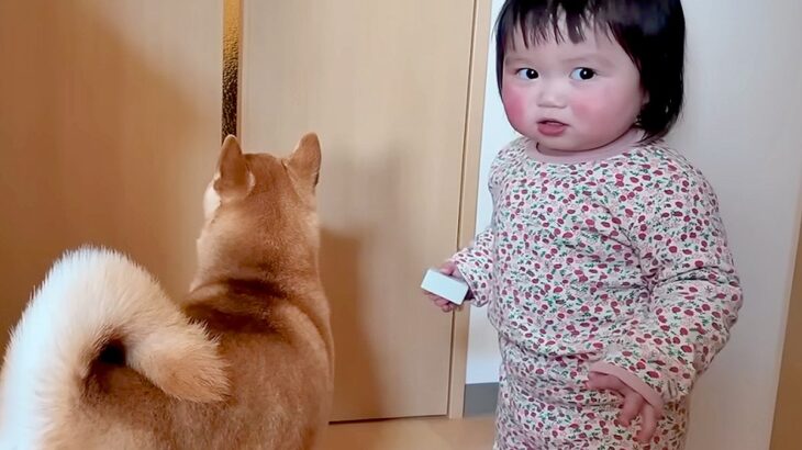 ママが外出→悲しそうに鳴く犬の横で、1歳の女の子が…想定外な『まさかのリアクション』が22万再生「温度差ｗｗ」「ふたりとも可愛い」と反響(ブログ)