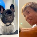 犬を飼うのに反対していた父→実際に暮らしてみた結果…思っていたのと違う『まさかの末路』が77万再生「最高すぎｗｗ」「逆に冷めてて爆笑」(ブログ)
