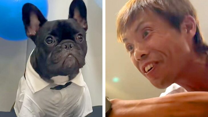 犬を飼うのに反対していた父→実際に暮らしてみた結果…思っていたのと違う『まさかの末路』が77万再生「最高すぎｗｗ」「逆に冷めてて爆笑」(ブログ)