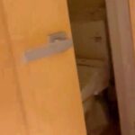 叱ったらトイレへ向かった犬→『ひとりで反省してるのかな』と思ったら…絶句する『衝撃の仕返し』が72万再生「職人の速さで草」「許すｗｗ」(ブログ)