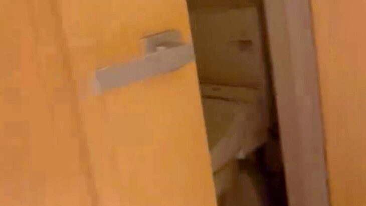 叱ったらトイレへ向かった犬→『ひとりで反省してるのかな』と思ったら…絶句する『衝撃の仕返し』が72万再生「職人の速さで草」「許すｗｗ」(ブログ)