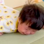 転んで大号泣する赤ちゃん→見ていた犬が『心配するかな』と思ったら…予想を裏切る『まさかの反応』が25万再生「神対応ｗ」「肝が据わってる」(ブログ)