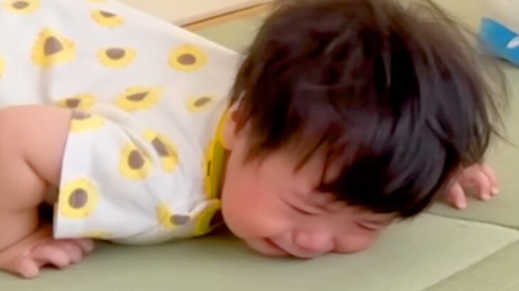 転んで大号泣する赤ちゃん→見ていた犬が『心配するかな』と思ったら…予想を裏切る『まさかの反応』が25万再生「神対応ｗ」「肝が据わってる」(ブログ)