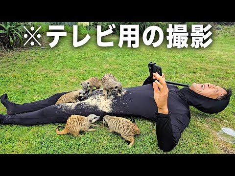 テレビ放送用の動画を撮影していたらこうなったんだけどどういうこと？【タイツマン】(YouTube)