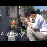 お墓参りを計画していたら不思議な出来事が起きました…。(YouTube)