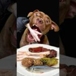 食欲が止まらないピットブル(YouTube)