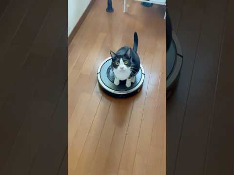 ねぇ見て、コレ、私の移動手段(YouTube)