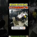 上司を起こさないように…【犬】#犬 #dog(YouTube)