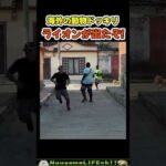 小ライオンが解き放たれた瞬間【犬】#犬 #dog(YouTube)