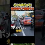 信号待ちで喧嘩勃発😂【犬】#犬 #dog(YouTube)