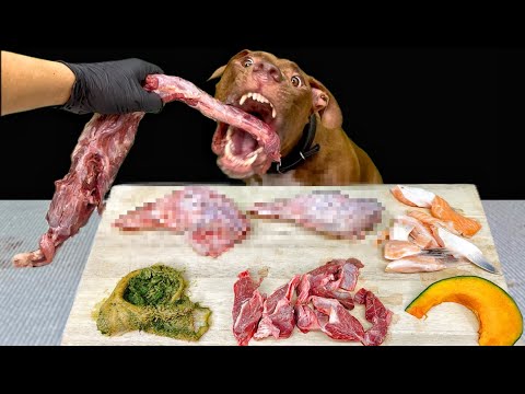 やみつきになる犬の咀嚼音！最強の犬が生肉とアヒルの骨をバリバリ食べる(YouTube)