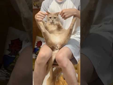 丸見えですが、何か？(YouTube)
