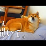 母が泊まりにきた夜、不思議な現象が親子同時に起きました。(YouTube)