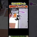 絶対に振り返る技を使うナンパ犬ww #犬 #dog(YouTube)