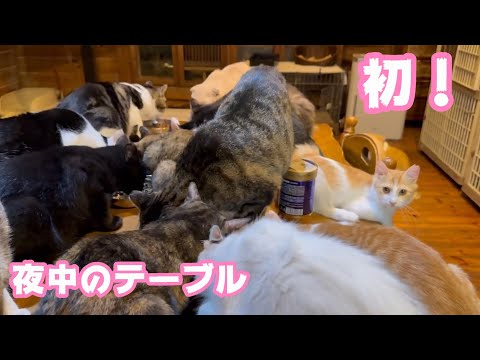初！ですがもうないです  夜中のテーブル   2025 09 24 1(YouTube)