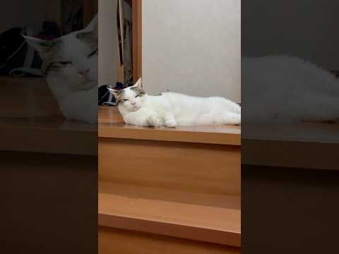 二重セキュリティ(YouTube)