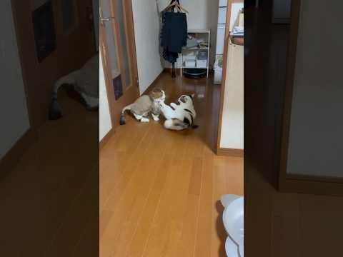 最後の俺のキック見た？！(YouTube)