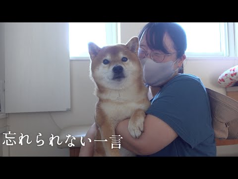 亡き父が大好きだった柴犬秋祭り。父の一言が頭から離れません。(YouTube)