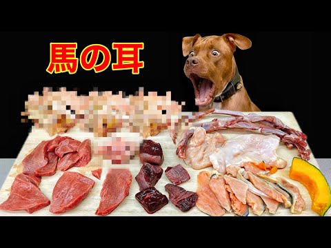 眠くなる音!!骨ごと生肉を食べるピットブルの咀嚼音がクセになる(YouTube)
