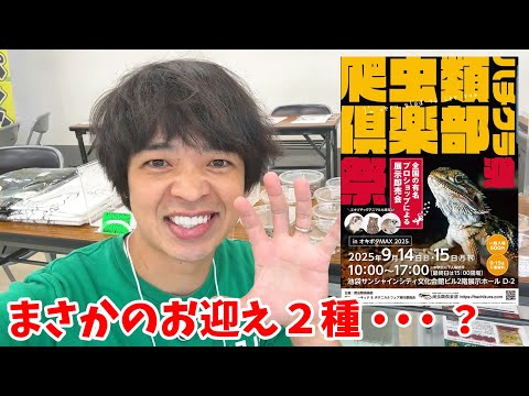 初開催の【ハチクラ祭】で新しく2種類の生き物をお迎えしました(YouTube)