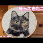 飛行機に乗って帰ってきたニャン  チュラさんお帰り   Thank you for MayB 2025 09 04 2(YouTube)