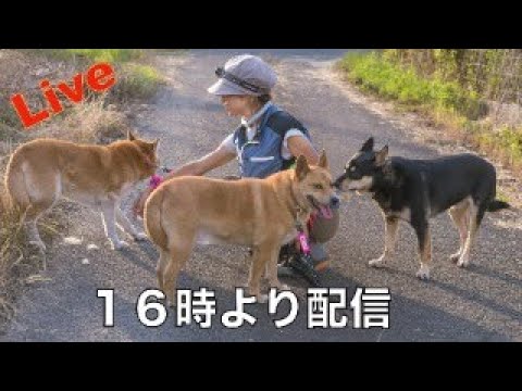 【ライブ】再配信(YouTube)