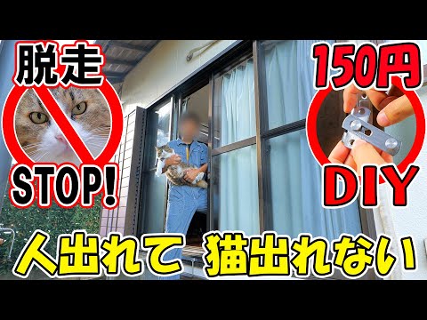 【猫の脱走対策】窓からの脱走を150円DIYで完全ガード！🐈(YouTube)