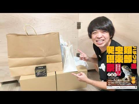過去最多？ハチクラ祭での戦利品紹介！！！(YouTube)