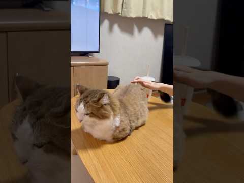 入ってなくて良かったぁ汗(YouTube)