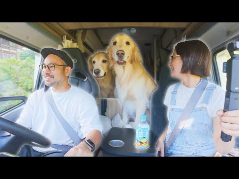 【車中泊】愛犬の老いと息子の成長を感じた誕生日キャンプ(YouTube)