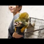 新技披露？！人から人へ飛び移れるのか？！(YouTube)