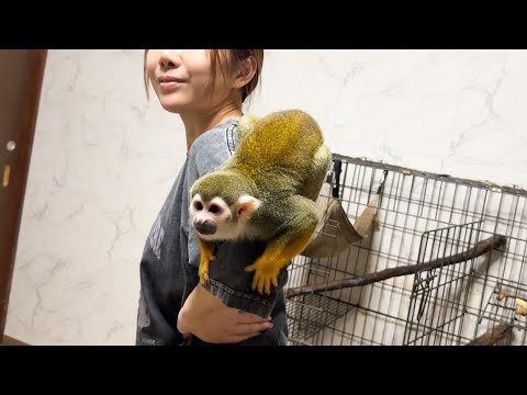 新技披露？！人から人へ飛び移れるのか？！(YouTube)