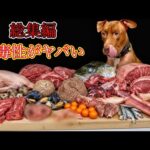 犬の咀嚼音!骨付き肉をうまそうに食べる音が気持ちいい(YouTube)