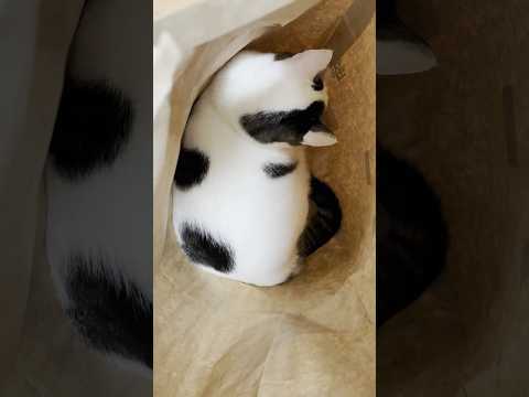 俺、美味そう？(YouTube)