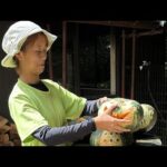 長崎バイオパーク公式 がライブ配信中！(YouTube)