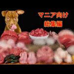 咀嚼音ベストセレクション🍖至福の総集編(YouTube)
