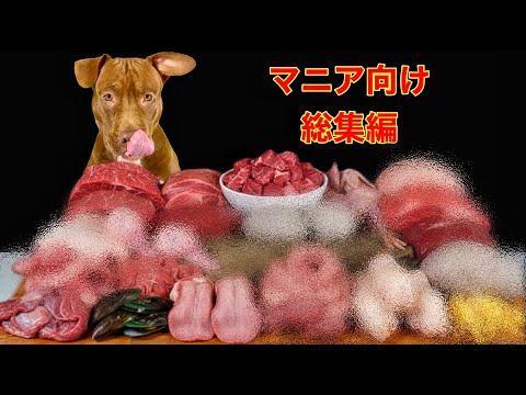 咀嚼音ベストセレクション🍖至福の総集編(YouTube)