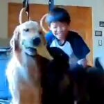 学校から帰宅後した子どもたち→2匹の大型犬と会った瞬間…カメラが捉えた『感動的な光景』が60万再生「すべてが素敵…」「口角上がる」と絶賛(ブログ)