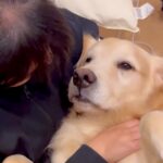 女の子が母犬といちゃいちゃしていたら、子供犬たちが嫉妬して…ずっと見ていたい『幸せで尊い光景』が50万再生「ゴルまみれ」「もみくちゃｗ」(ブログ)