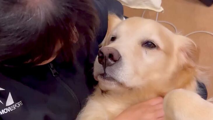 女の子が母犬といちゃいちゃしていたら、子供犬たちが嫉妬して…ずっと見ていたい『幸せで尊い光景』が50万再生「ゴルまみれ」「もみくちゃｗ」(ブログ)