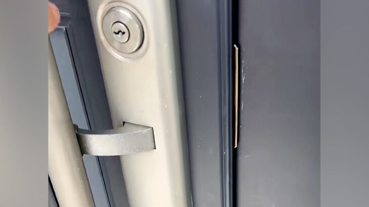 玄関から『3秒だけ』出てすぐに戻ったら、犬が…ドアを開けた瞬間の『尊すぎるおかえりなさい』が478万再生「これだから犬は…」「愛おしい」(ブログ)