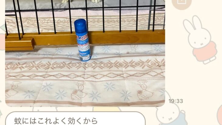 母に『実家で使っているもの教えて』とLINEした結果→なぜか必ず『犬』が…可愛すぎる共有の仕方に5万いいね「ピント犬に合ってるｗ」と反響(ブログ)