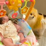 産まれたばかりの赤ちゃんが『犬たちと一緒に育った』結果…素敵すぎる『２年間の軌跡』に反響「かわいすぎる」「幸せな気分になった」(ブログ)