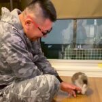 『子どもがいない夫婦』が犬を飼った結果→愛情いっぱいに育てて…思わず涙する『3年後の光景』が59万再生「尊すぎる」「愛に溢れてる…」(ブログ)