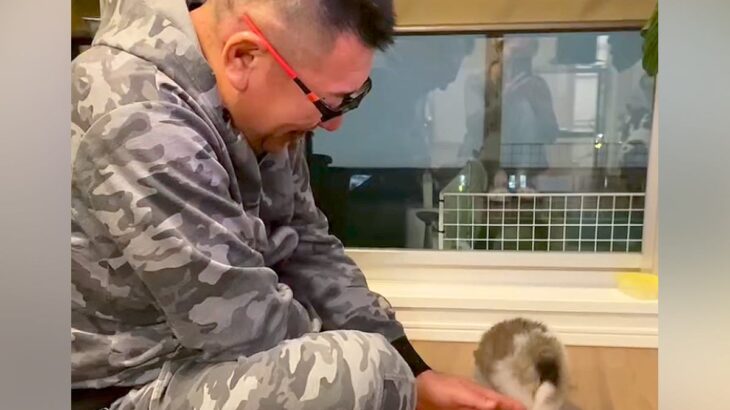 『子どもがいない夫婦』が犬を飼った結果→愛情いっぱいに育てて…思わず涙する『3年後の光景』が59万再生「尊すぎる」「愛に溢れてる…」(ブログ)