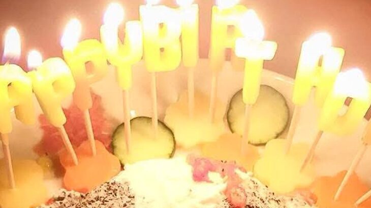 犬の誕生日を祝うため『手作りケーキを作ってみた』結果…一度見たら忘れられない『完成系』が26万回表示「狂気ｗｗｗ」「愛は詰まってるｗ」(ブログ)