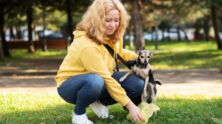 犬が病気かもしれないときにする『ウンチの形状』4選　注意すべき状態や腸内環境を整えるコツまで(ブログ)