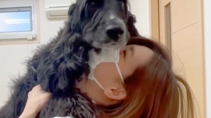 病院の綺麗な看護師さんに『恋をしている犬』…人間なら通報されている『診察中の行動』が210万再生「想像以上に抱きついてて草」「最高ｗ」(ブログ)