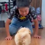 小学校から帰ってきた男の子が『8時間ぶりに犬と再会した』結果…最高すぎる『感動のおかえりなさい』が54万再生「大事なんだね」「癒やし」(ブログ)