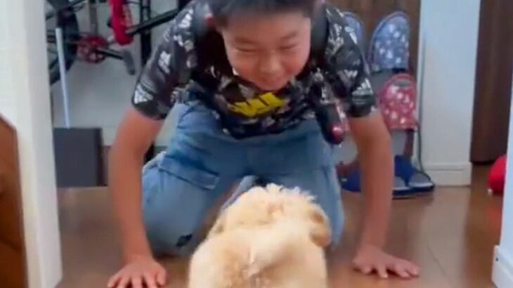 小学校から帰ってきた男の子が『8時間ぶりに犬と再会した』結果…最高すぎる『感動のおかえりなさい』が54万再生「大事なんだね」「癒やし」(ブログ)